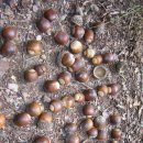 영월고등학교 이미지