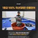 와이케이기획 이미지