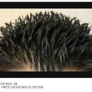 당산전 이미지