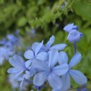 [2025그리스]크레타 첫날~~ 이미지