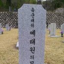 RE : '죽은 아들을 위한 비(碑)' 그 후 이미지