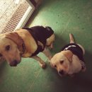 누리는농부 이미지