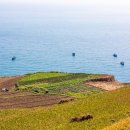 트인바다라메종 이미지