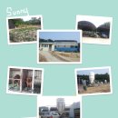 용궁농장 이미지