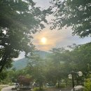 강화 오토캠핑장 렛츠고강화캠핑장 2박 3일 솔직 후기 — 마니산 자락 힐링 캠핑