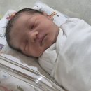 반도정형외과병원 | 울산 보람병원 제왕절개수술2일차 (식사.모유수유.샴푸실)