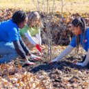 러브농장 이미지