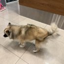 햇살가득동물병원 이미지