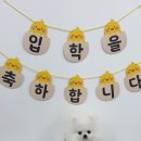 델리키아 이미지