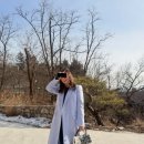 마린성형외과 | 성형외과 의사가 "비율 자체가 다르다"고 난리 난 49세 여배우.. 비결이 '대추생강홍삼차'라고요?