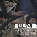 365카모터스 이미지