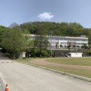 금성안경원 이미지