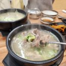 오가네소머리국밥 | 수육도 맛있는 용호동 국밥맛집 고농소머리곰탕