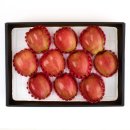 고씨네 농장 이미지