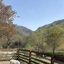 달빛정원 | 가평 글램핑 추천, 달빛정원 글램핑&amp;카라반 방문후기