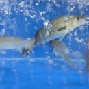 수산물직판장(6호) 이미지