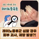 ANA메디컬 이미지
