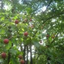 정분이네 이미지