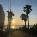 한담 애 | 여름휴가로 떠난 3박 4일 Jeju🍊기록 (1)_공항근처 접짝뼈국 맛집, 애월 흑돼지, 한담산책로, 고딱세트