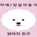 주주 펫 살롱 이미지