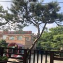 너비울 이미지