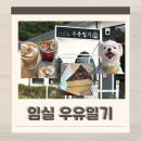 임실치즈두마리목장 | 전주 근교 애견동반 카페 임실 우유일기 치즈마을점