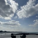 욜로올레제주 이미지