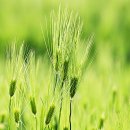 (주)고향이야기 이미지