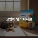 고양이 알러지사료 효과적인 선택법