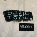 제주지인 게스트하우스 | [무릉쉼표] 제주 서귀포 조용한 게스트하우스 후기