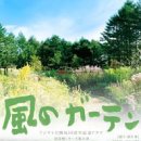 바람의 정원 이미지