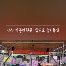 (주)삽교호놀이동산 이미지