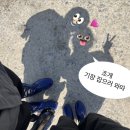 수산황토방모텔 | 우리만 애가 없던 1박2일 태안 여행🫥 (부제- 조개 D졌다)