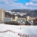 휘닉스파크 이미지