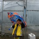 벌말농원 | 안산 외곽 농촌 체험 농장 인기