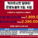지니골프투어 이미지
