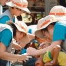 징검다리 이미지