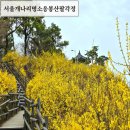 형산강 빗물펌프장 공중화장실 | 서울 개나리명소 응봉산 팔각정 3.25 개화상황 가는길 주차