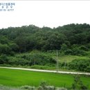 더에이스컨설팅