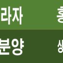 서연약국 네이버블로그