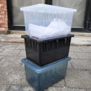 렙타일케이지 이미지