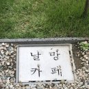 무주와논산과쭌이와도치