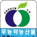 [예약주문] 친환경오미자 생오미자 예약주문 받습니다. [문경오미자] 이미지