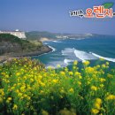 ㈜제주여행렌트카 이미지