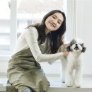 아이러브독강아지 - 포항시 남구 대이로 177 | 아이러브독강아지