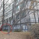 분당-219 이미지