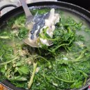 평택항로 | 평택 포승 맛집 란횟집봄 제철 봄도다리쑥국과 새콤달콤 회무침 솔직후기 봄도다리쑥국 란횟집