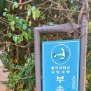 홍익대학교사범대학부속여자고등학교 이미지