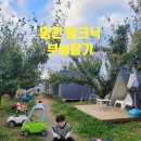 금호읍-신월리-8