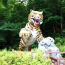 삶의 길(43) 구업(口業)과 무초설무뇌동(無剿說無雷同) 이미지